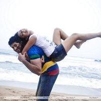 Its My Love Story Movie Hot stills | Picture 110304